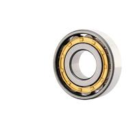 TADZKKIWM 1 PCS Rodamiento de Rodillos cilíndricos de una hilera N202EM N203 204 205 206 207 208 209 210EM Motor de Jaula de Cobre de Alta Velocidad y Baja(Low Speed,N208EM 40X80X18)