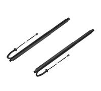 Taesayl 2 Piezas Resorte Gas Portón Trasero Amortiguador Maletero Pistón Gas Izquierda Derecha 57A827851 57A827852 Compatible Con Skoda Karoq ND7 NU7 2017-2023 Amortiguador Portón Trasero Pistón Portó