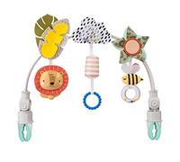 Taf Toys 12795 - Arco Sabana