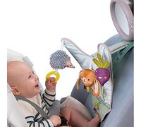 Taf Toys 13105 - Juguete de Coche jardín