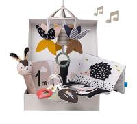 Taf Toys - Juego de regalo para recién nacidos en blanco y negro (10 juguetes para recién nacidos, con sonajero móvil, libro sensorial y más juguetes esenciales para el vientre
