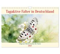 Tagaktive Falter in Deutschland (Wandkalender 2027 DIN A4 quer), CALVENDO Monats