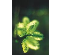 Tagebuch mit Titelseite zum individuellen Selbstbeschriften. 02: Gestalte die Titelseite deines Tagebuchs wie es dir gefällt. (Tagebücher mit Titelseite zum individuellen Selbstbeschriften.)