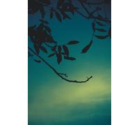 Tagebuch mit Titelseite zum individuellen Selbstbeschriften. 05: Gestalte die Titelseite deines Tagebuchs wie es dir gefällt. (Tagebücher mit Titelseite zum individuellen Selbstbeschriften.)