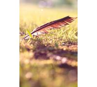 Tagebuch mit Titelseite zum individuellen Selbstbeschriften. 06: Gestalte die Titelseite deines Tagebuchs wie es dir gefällt. (Tagebücher mit Titelseite zum individuellen Selbstbeschriften.)