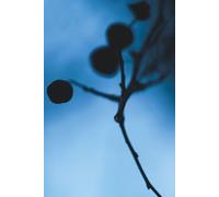 Tagebuch mit Titelseite zum individuellen Selbstbeschriften. 07: Gestalte die Titelseite deines Tagebuchs wie es dir gefällt. (Tagebücher mit Titelseite zum individuellen Selbstbeschriften.)