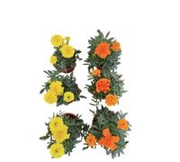 Tagete Natural |Pack 6 Unidades |DECOALIVE | Tagetes con Flores Mix Color
