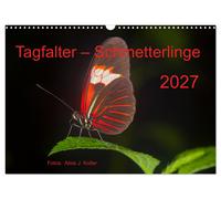 Tagfalter Schmetterlinge (Wandkalender 2027 DIN A3 quer), CALVENDO Monatskalende