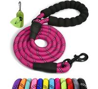 Taglory Correa de Perro Anti Tirones 1,2 m, Mango Acolchado, Fucsia | Correa Resistente para Perros Medianos y Grandes, Asa Acolchada Protege Tu Mano e Hilos Reflectantes para Pasear de Noche