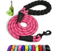 Taglory Correa de Perro Anti Tirones 1,2 m, Mango Acolchado, Rosa | Correa Resistente para Perros Medianos y Grandes, Asa Acolchada Protege Tu Mano e Hilos Reflectantes para Pasear de Noche