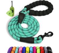 Taglory Correa de Perro Anti Tirones 1,2 m, Mango Acolchado, Turquesa | Correa Resistente para Perros Medianos y Grandes, Asa Acolchada Protege Tu Mano e Hilos Reflectantes para Pasear de Noche