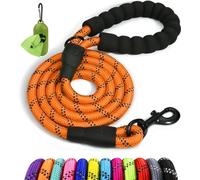 Taglory Correa de Perro Anti Tirones 1,5 m, Mango Acolchado, Naranja | Correa Resistente para Perros Medianos y Grandes, Asa Acolchada Protege Tu Mano e Hilos Reflectantes para Pasear de Noche