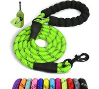 Taglory Correa de Perro, Correa de Fuerte de Perro para Perros Medianos con Mango Acolchado Suave y Hilos Reflectantes, 1.5 m x 1.0 cm, Verde