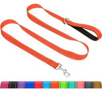 Taglory Correa para Perros Medianos y Grandes, Empuñadura Cómoda | Control firme cuando tira con fuerza, Perfecta en paseos nocturnos, Ideal para paseo diario, Anilla extra para bolsas