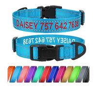 TagME Personalizado Pequeño Collar Perro, Bordado Nombre y Número De Teléfono Reflectante Collar Perros, Azul Cielo S