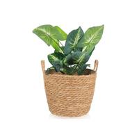 Tagtight Cesta para Plantas de Algas Marinas, Maceta, Recipiente para Plantas Tejidas, jarrón Redondo, decoración de jardín, Cesta de Mimbre Decorativa, Cesta de Mimbre para macetas