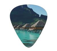Tahiti Beach - Juego de regalo de púas para guitarra acústica, eléctrica y bajo, suaves y duraderas, regalo perfecto para amantes de la guitarra y músicos