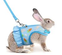 Taicols Arnés ajustable y correa para conejos, chaleco transpirable de malla suave para animales pequeños gatos conejillos de indias seguridad y comodidad ideal para conejos enanos (azul)