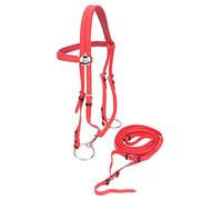 Taidda Arnés de Rienda de Cabeza con Brida para Caballo, PVC Ajustable, Resistente Al Agua, Duradero con Filete Hueco de Acero Inoxidable Extraíble para Caballos de 1,3 a 1,7 Metr