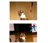 Taidda Varita Retráctil para Gatos, Juguete Interactivo de Plumas para Gatos, Diseño de Caña de Pescar Ligera con 11 Plumas Reemplazables, Material Seguro No Tóxico