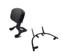 TAINHUIA Respaldo para Asiento Trasero Respaldo Multiusos Compatible con Peugeot Django, con portaequipajes Plegable. Respalda Moto(Black)