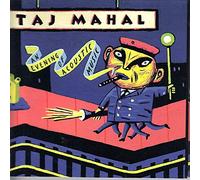 Taj Mahal - Evening