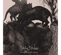 Takafumi matsubara - Strange beautiful and fast