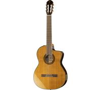 Takamine EC132SC w/Softcase