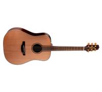 Takamine FN15 AR Guitarra Dreadnought Natural Tapa Maciza Cedro Palosanto Acabado Satinado