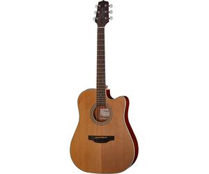 Takamine GD20CE-N