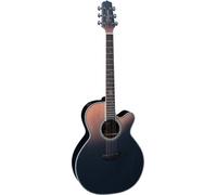 Takamine LTD 2024