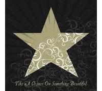 Take a Chance on Something Beautiful