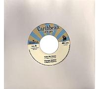 Take Me Home / Good Feelings (Lim.Ed.) [Vinilo]