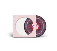 Take That - Everything Changes (Zoetrope Picture Disc) (Reissue) (LP)