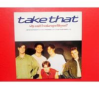 Take That Why Can't I Wake Up With You 7" RCA 133117 EX/EX 1993 picture sleeve