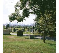 Bad Luck. - Take What You Need (Evergreen Cemetery) [Vinyl LP] [VINYL] [Vinilo]