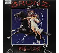 Taken By Storm [Vinilo]