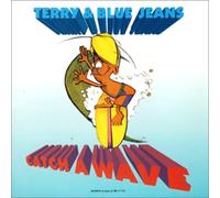 Takeshi Terauchi - Catch a Wave