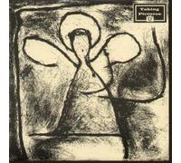 Taking Pictures - Fallen Angel [Vinilo]