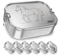 TAKWAY Fiambrera infantil de acero inoxidable con compartimentos, 800 ml, a prueba de fugas, caja Bento con división variable, fiambrera para guardería, guardería, escuela (caballo, separador)