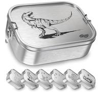 TAKWAY Fiambrera infantil de acero inoxidable con compartimentos, 800 ml, a prueba de fugas, caja bento con división variable, fiambrera para guardería, guardería, escuela (dinosaurio, 3