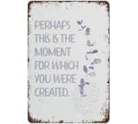 Tal vez este sea el momento para el que fuiste creado. Letrero de aluminio vintage con mensajes divertidos. Decoración de pared. Placa decorativa. Regalo ideal para el hogar, la cocina, el baño, el r