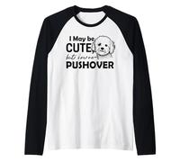 Tal vez soy lindo pero no soy agresivo Bichon Frize Camiseta Manga Raglan