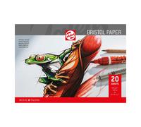 Talens bristol papier glad 246 gram A4 (Importación USA)