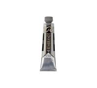 Talens Rembrandt - Excelentes colores de pintura al óleo - 40 ml - 800 Plata