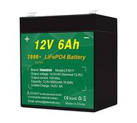 TalentCell Paquete de baterías LiFePO4 de 12 V 6 Ah, 2000 ciclos, recargable, 12,8 V, 76,8 Wh, batería de fosfato de hierro y litio