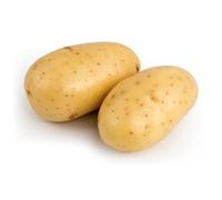 Talentina 60 Plantas de patata