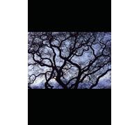 TALES FROM COLONY DRIVE: An Urban and Supernatural Fantasy Collection