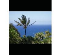 Tales from the Land of Fire and Ice: A Collection of Icelandic Fables: Ipuinak suaren eta izotz lurretik: islandiako fabulen bilduma