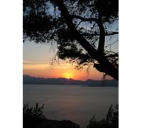 Tales from the Land of Fire and Ice: A Collection of Icelandic Fables: Tales from the Land of Fire and Ice: A Collection of Yslandse fabels